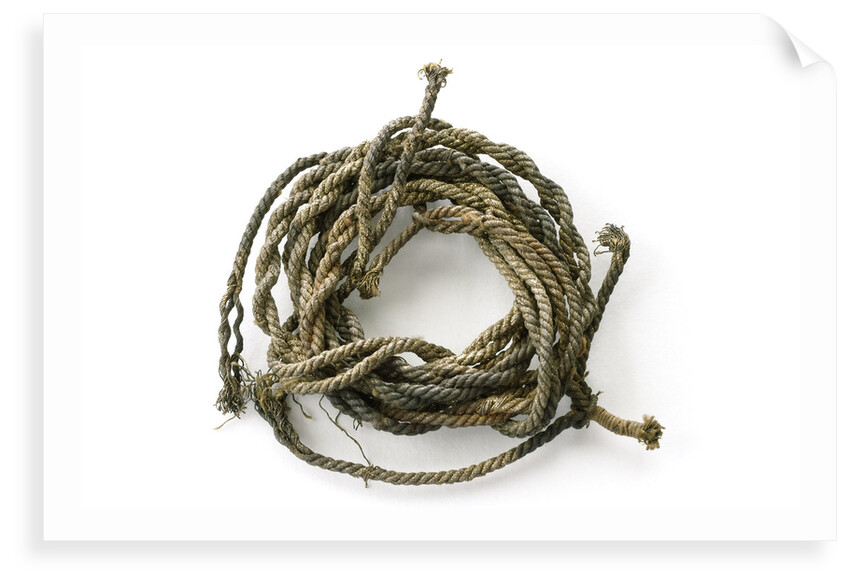 Gold cord by unknown