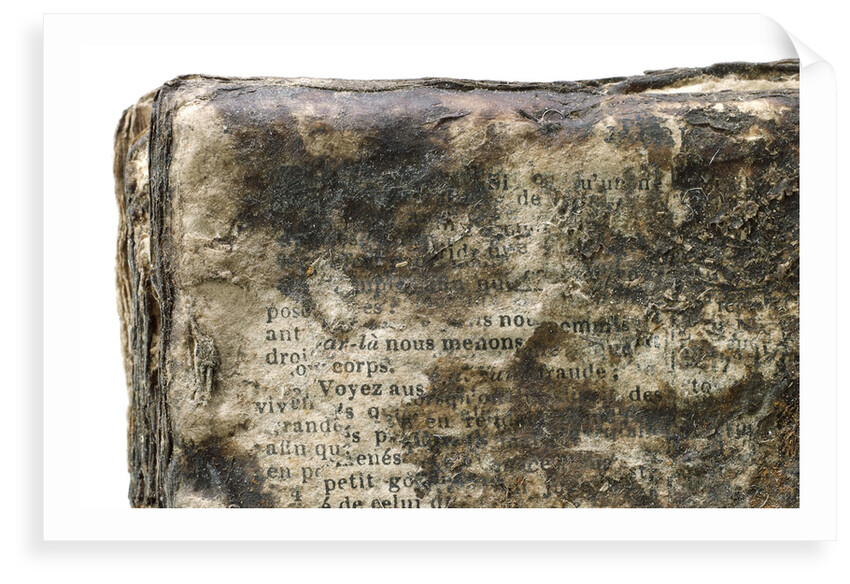 French New Testament' detail by unknown