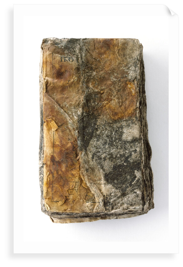 Bible - back by unknown