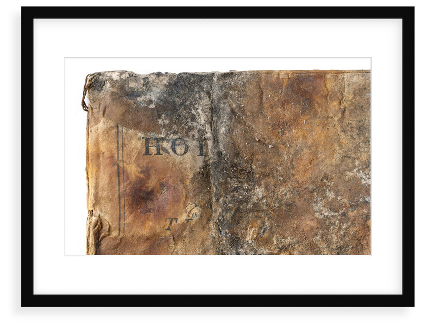 Bible - back by unknown