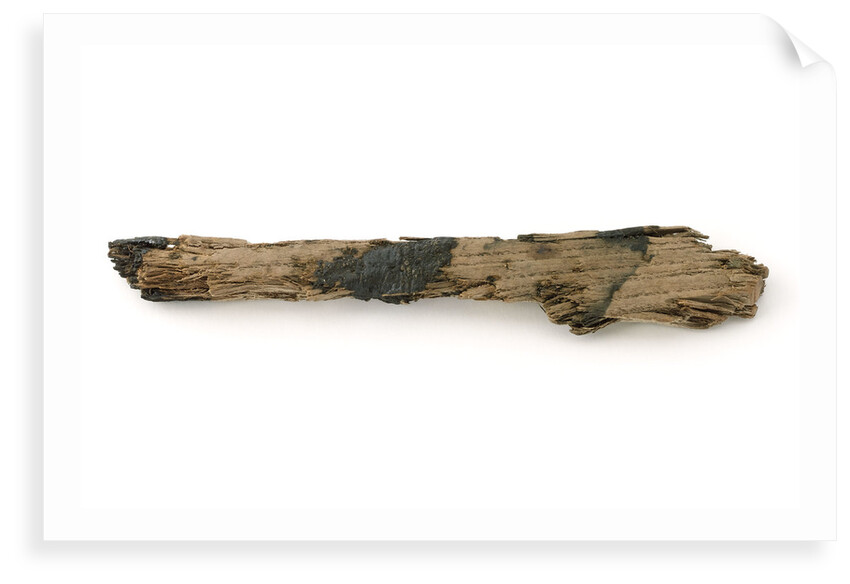 Timber fragment by unknown