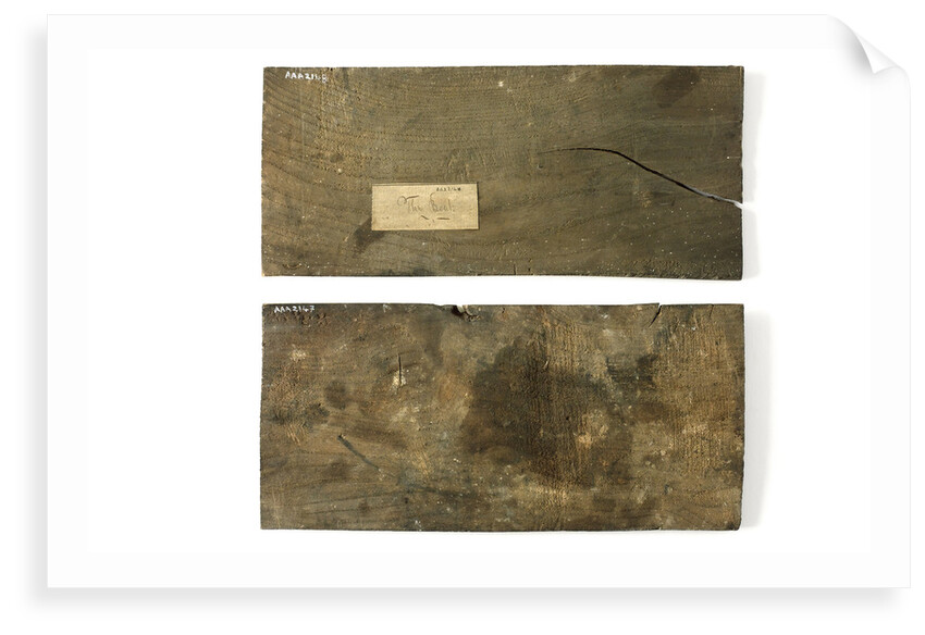Elm boards by unknown