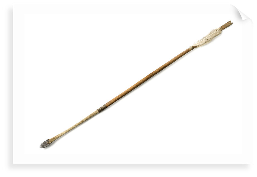 Arrow by Inuit