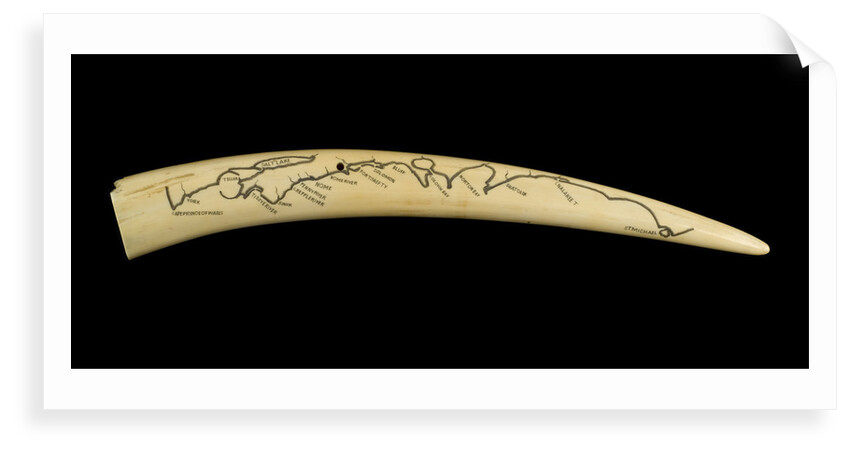 A cribbage board and two pegs, carved from a walrus tusk with a polar bear, walrus head, and three seals carved in relief by Inuit