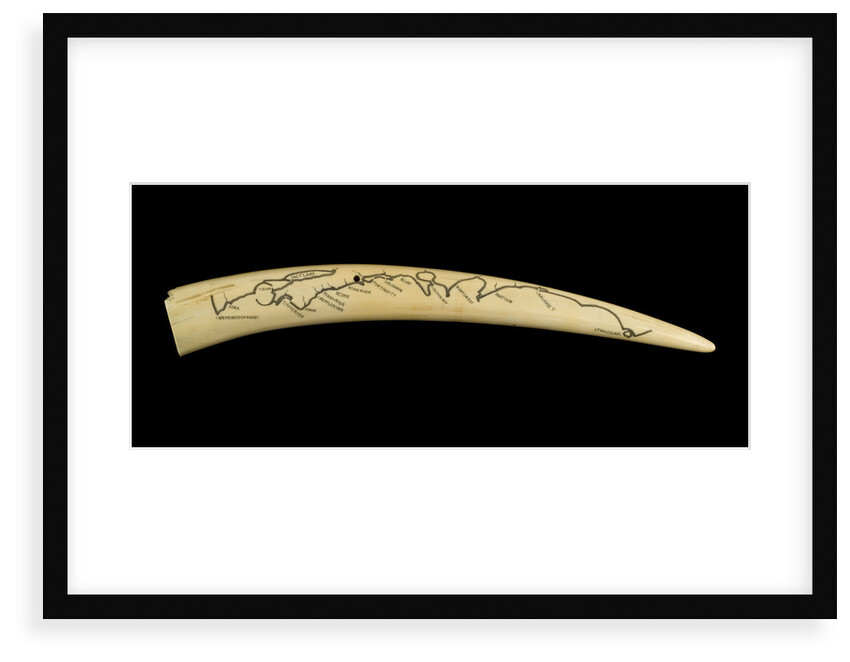 A cribbage board and two pegs, carved from a walrus tusk with a polar bear, walrus head, and three seals carved in relief by Inuit
