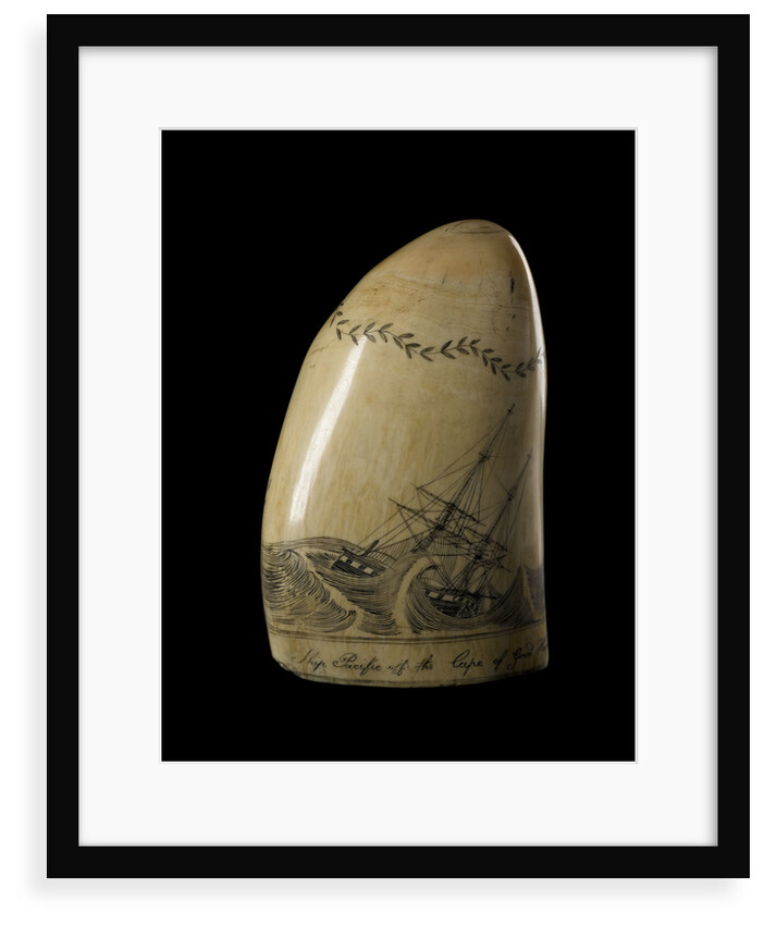 Whale tooth by unknown