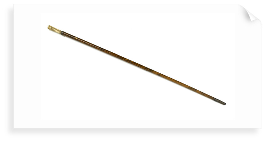 Walking stick by unknown