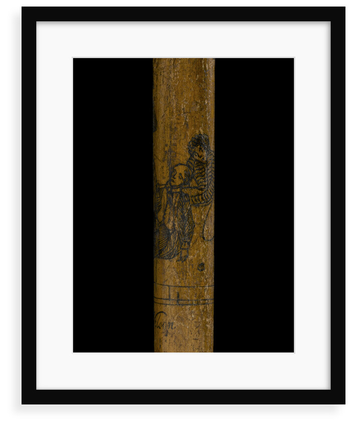 Walking stick by unknown