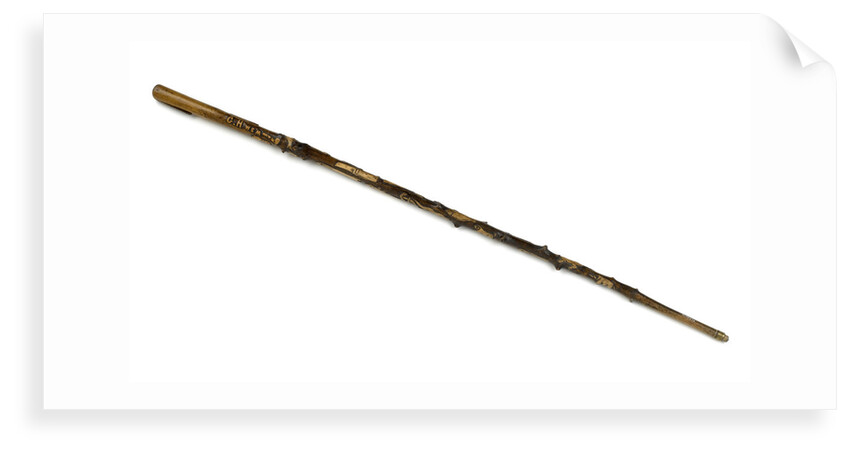 Walking stick by unknown