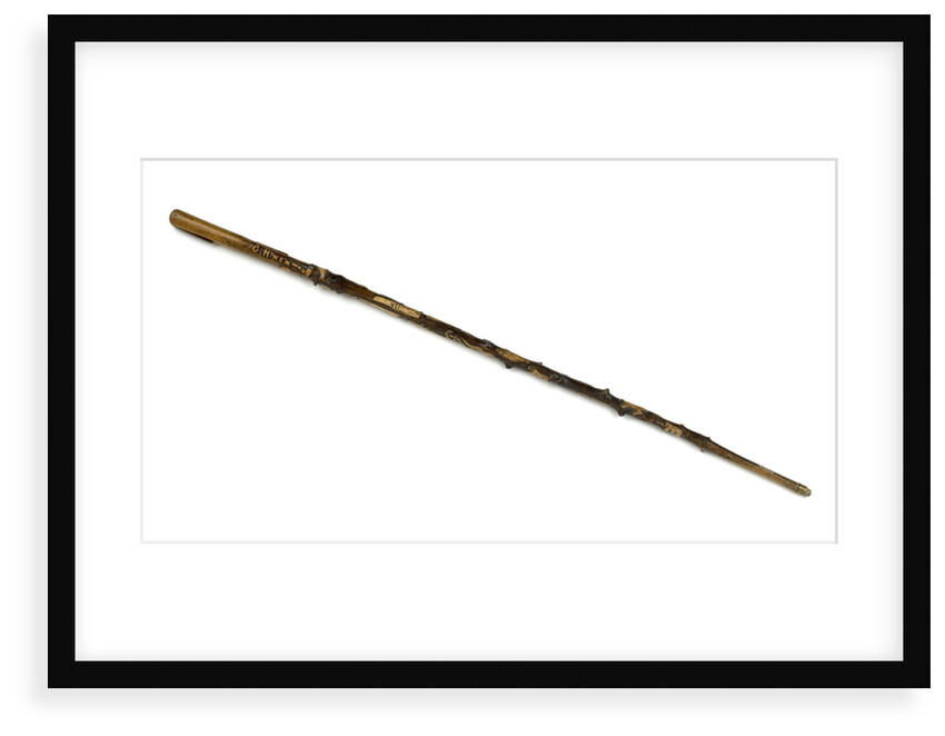 Walking stick by unknown