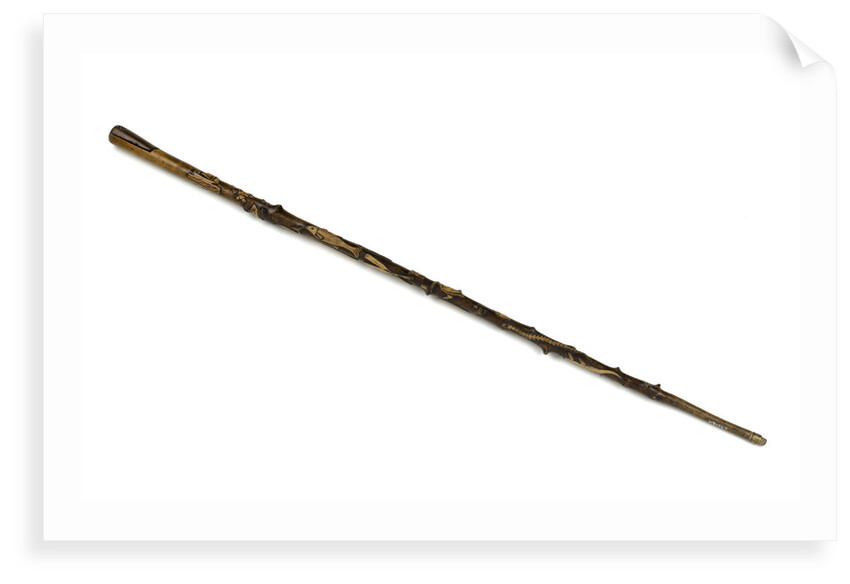 Walking stick by unknown