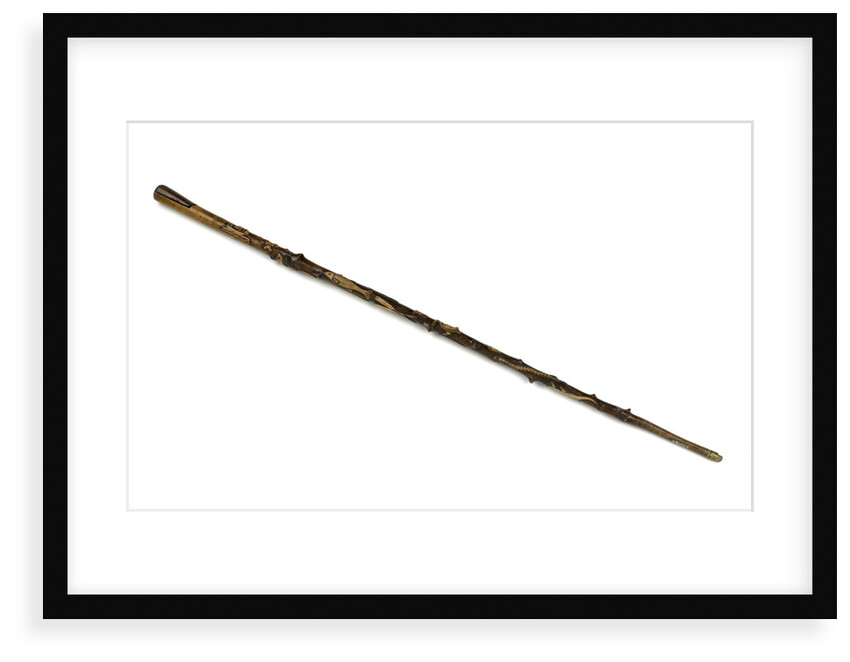 Walking stick by unknown