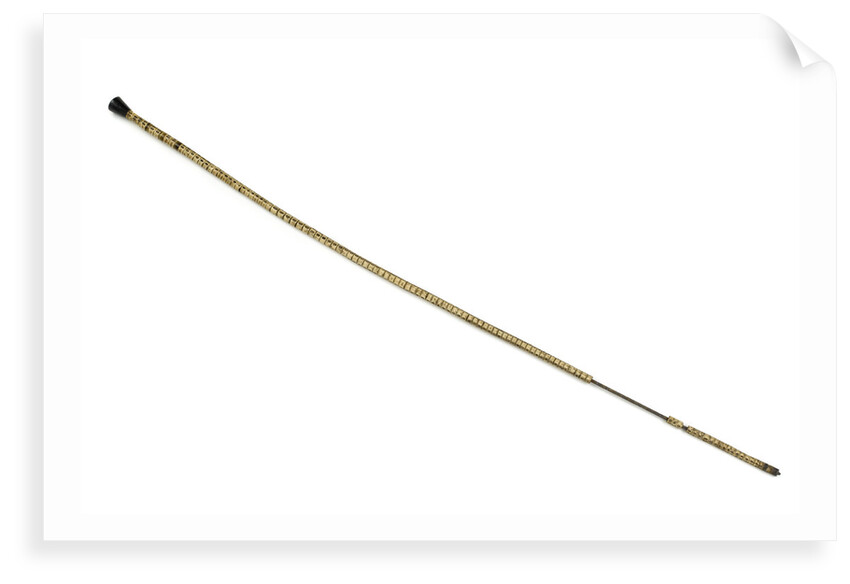 Walking stick by Unknown