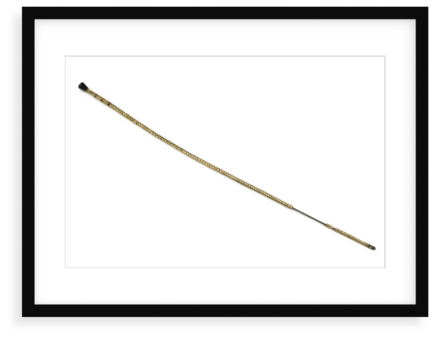 Walking stick by Unknown