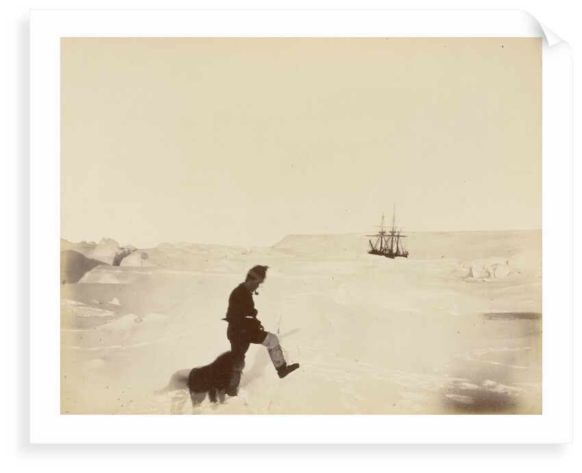 Winter quarters of the 'Alert'; Cape Rawson in the distance; Mr White and 'Nelly', during British Arctic Expedition, 1875-1876. by George White