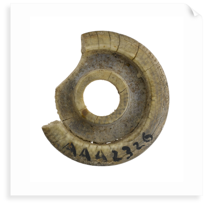 Bottle top by unknown