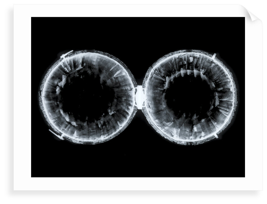 Globe x-ray by Nicolas Lane