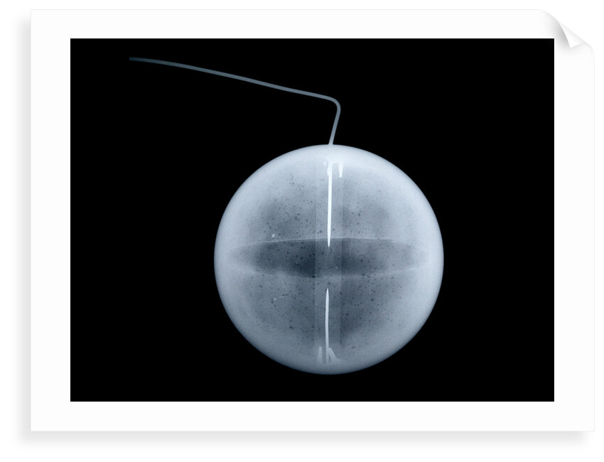 Globe x-ray by William Palmer