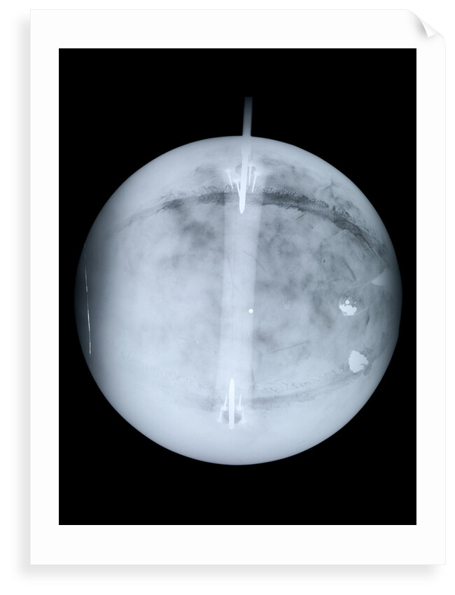 Globe x-ray by Benjamin Martin