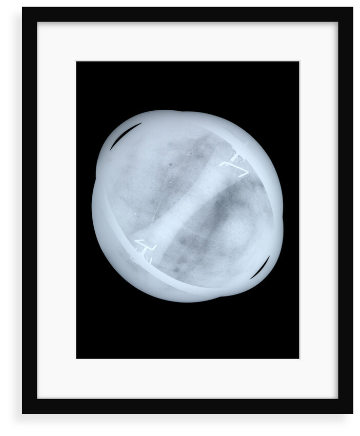 Globe x-ray by Willem Jansz Blaeu