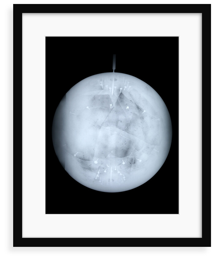 Globe x-ray by Georg Christoph Eimmart