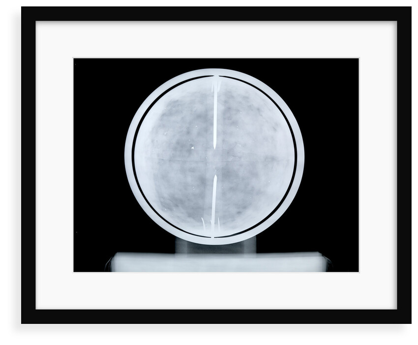 Globe x-ray by William Bardin