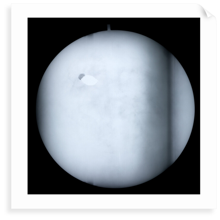 Globe x-ray by Robert Morden