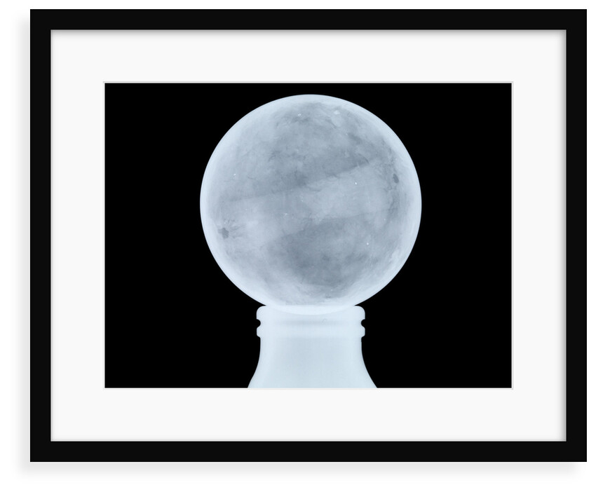 Globe x-ray by Moll