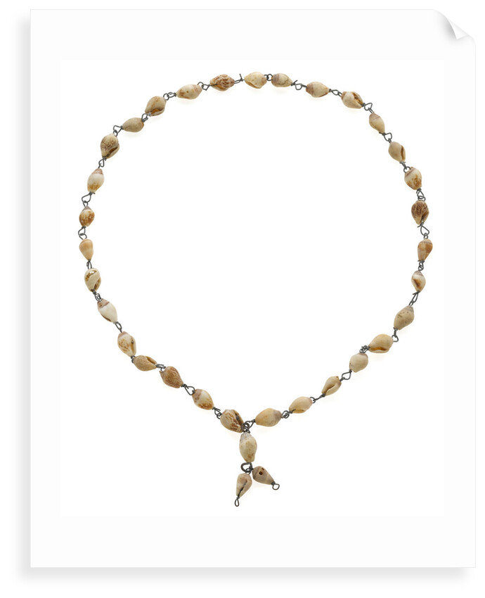 Cowrie shell necklace joined with metal links by unknown