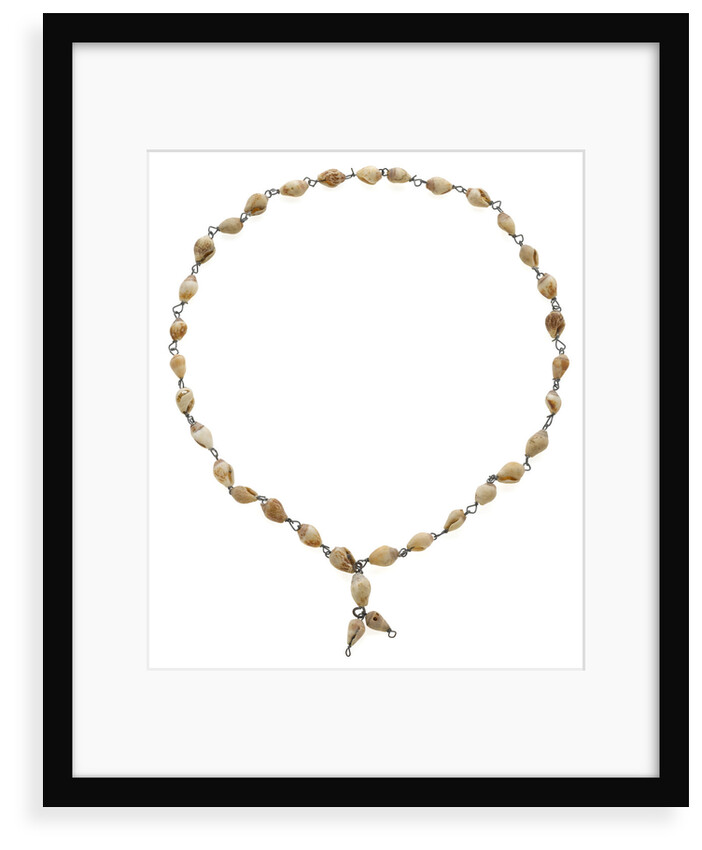 Cowrie shell necklace joined with metal links by unknown