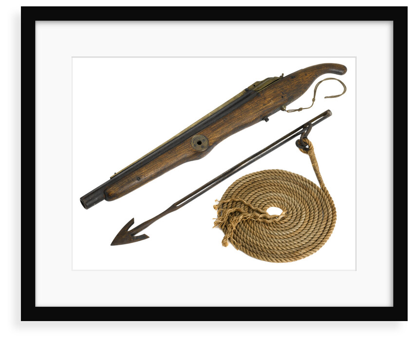 Whaling harpoon gun by W.W. Greener