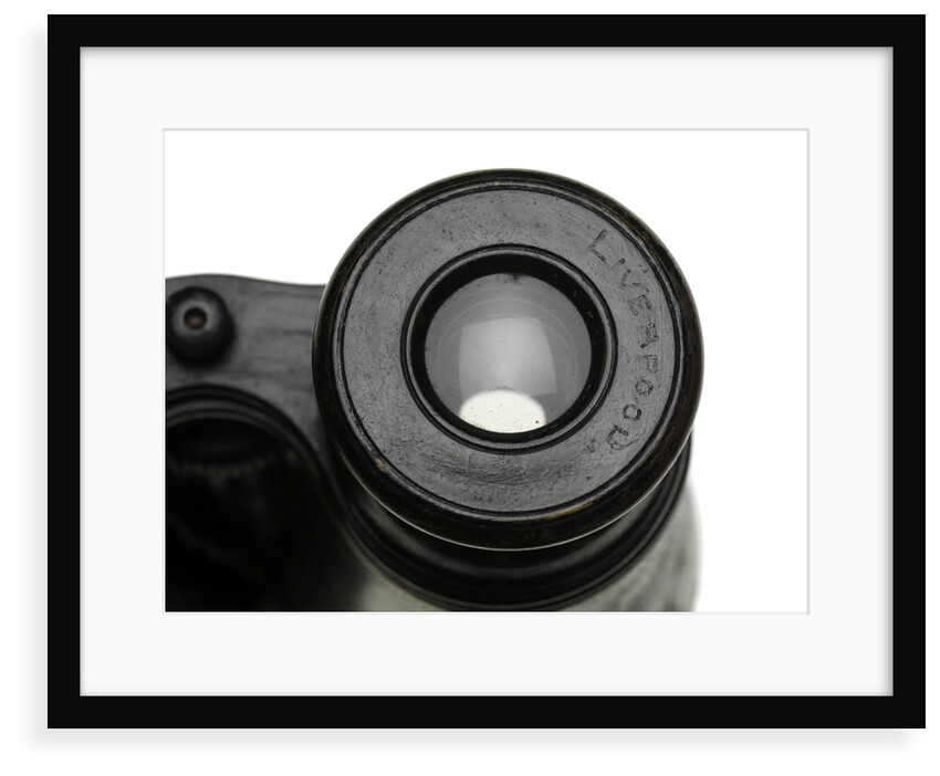 Binoculars by William Gerrard