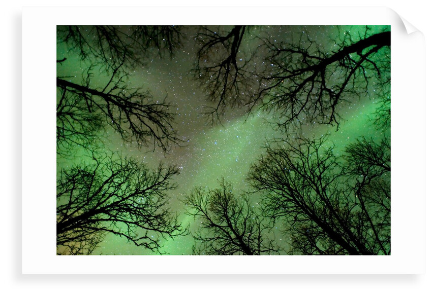 Surrounded by Space by Fredrik Broms