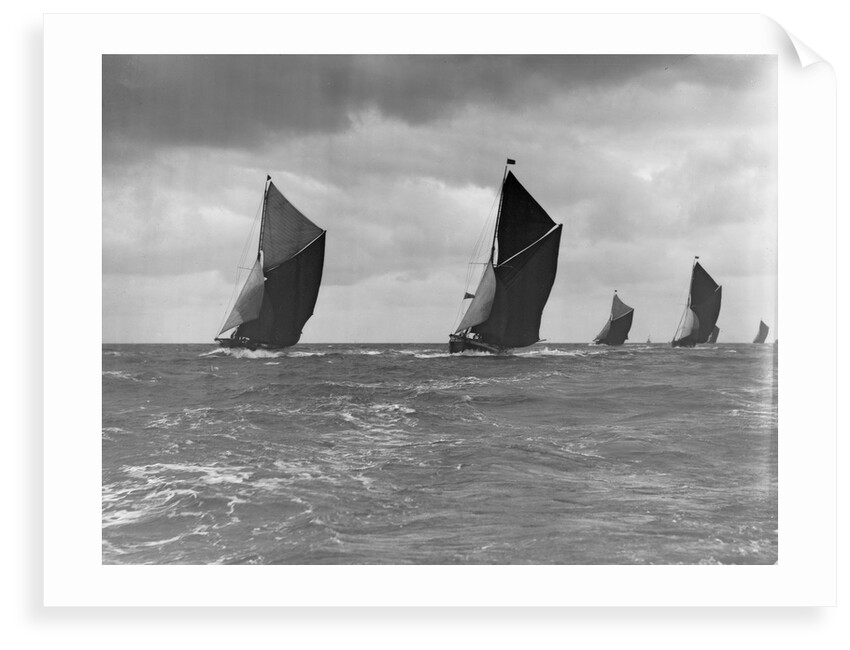 The Spritsail Barge Race, 1903 by Anonymous