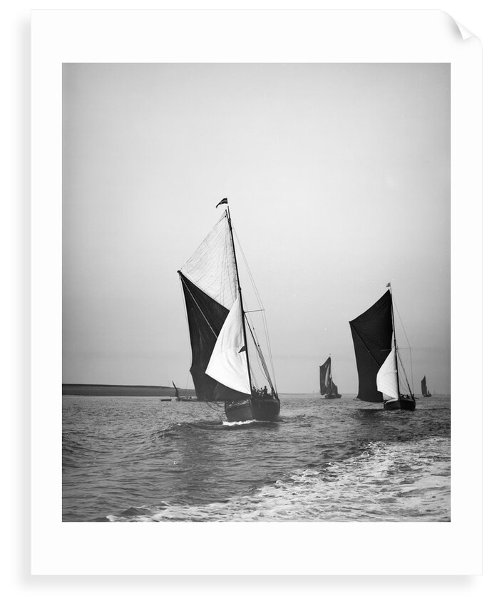 Sailing barge 'Sirdar' (Br, 1898) racing with other barges in the 1899 Thames Barge Match by Anonymous