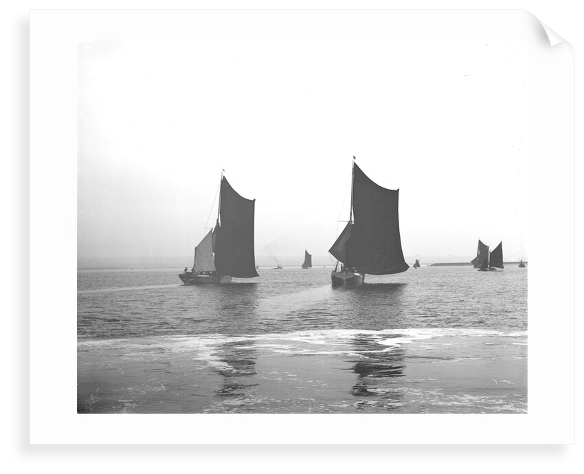 'Satanita' (Br, 1897) racing with 'Giralda' (Br, 1897) in the Thames match by unknown