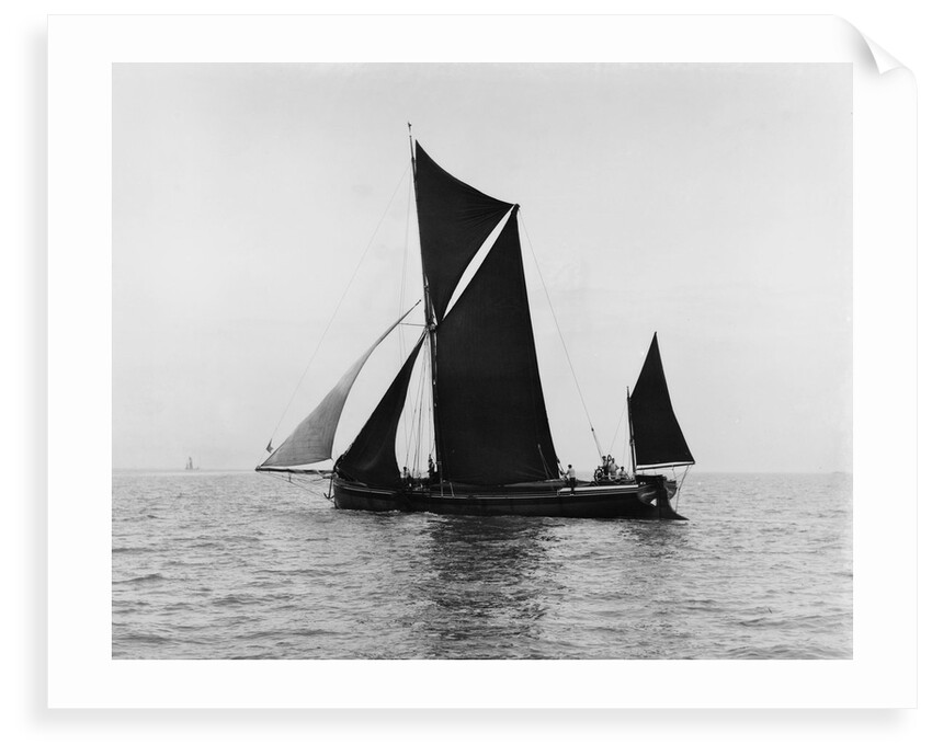 Sailing barge 'Veronica' (Br, 1906) under sail by unknown