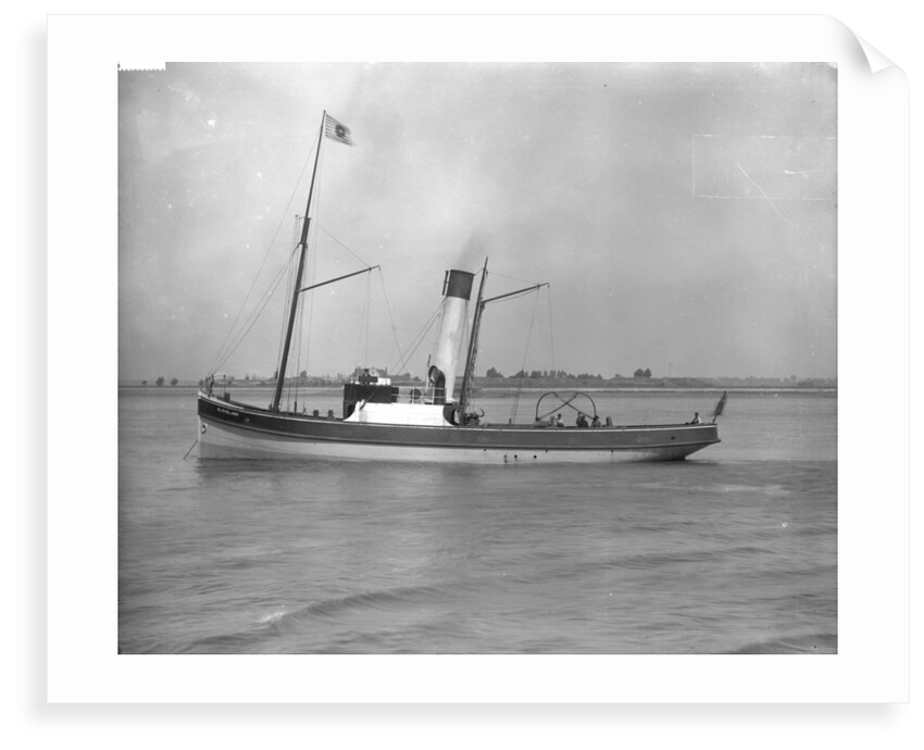 Tug 'Cleveland' (Br, 1894), J Mitchell & Sons by unknown