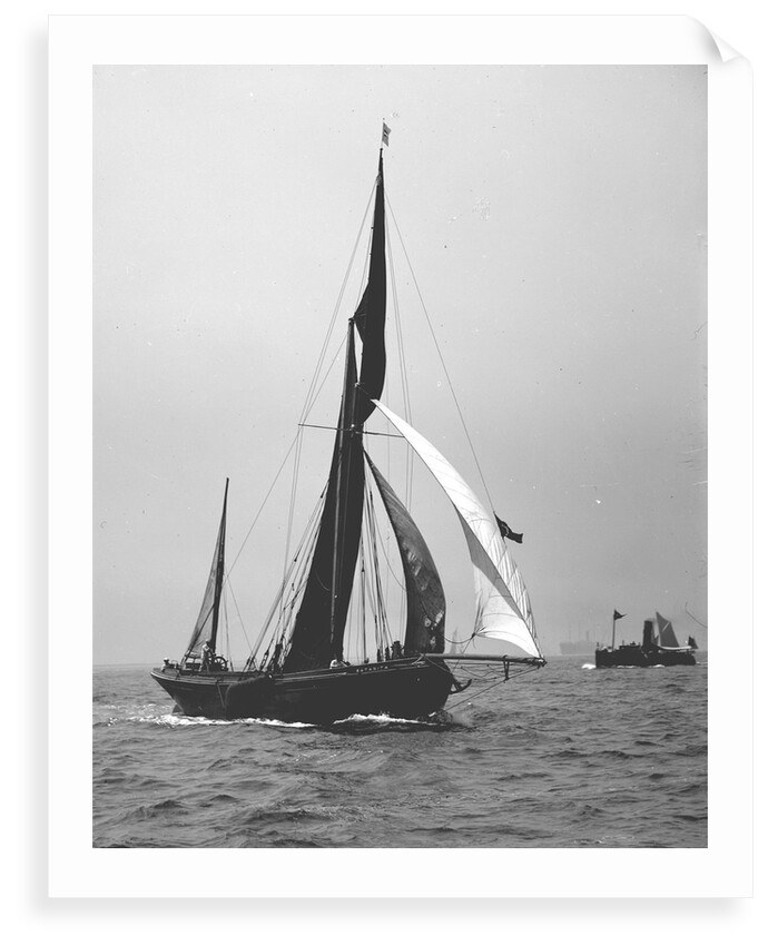 'Satanita' (Br, 1897) under sail by unknown