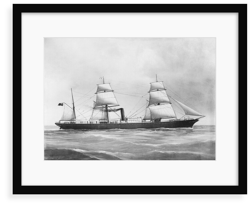 'Cuzco' (1871) by F. C. Gould & Son