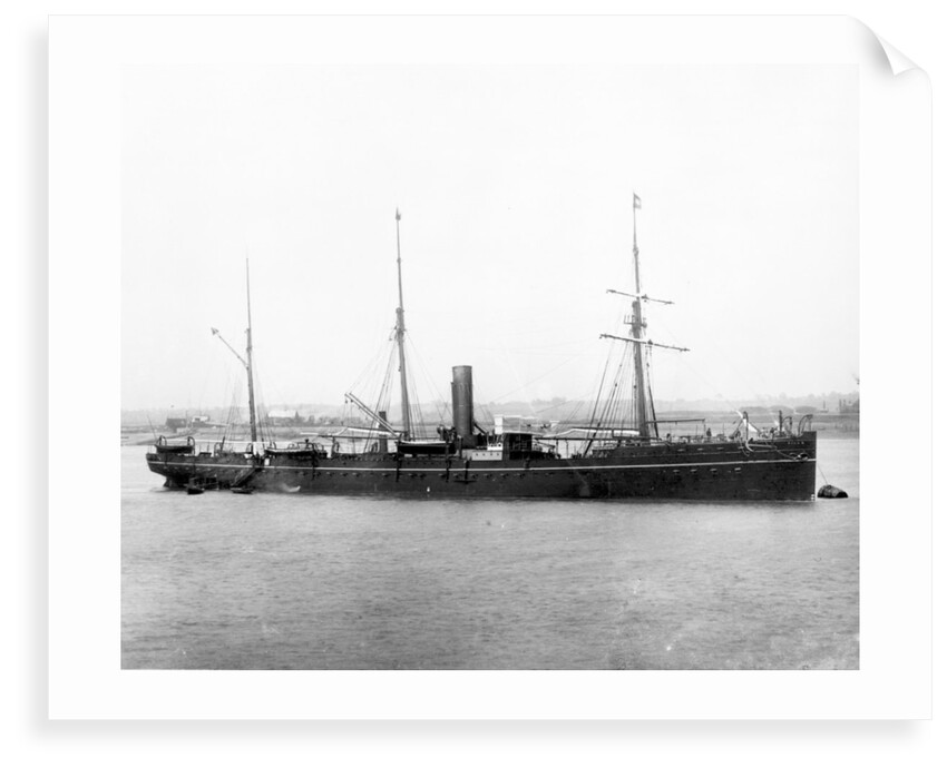 'Nizam' (Br, 1874) by unknown