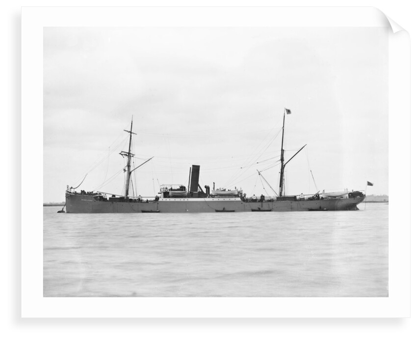 Cargo steamer 'Gulf of Venice' (Br, 1883), Greenock S S Co Ltd by unknown