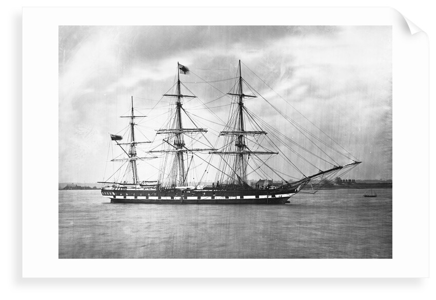'Suffolk' (Br, 1857) by unknown