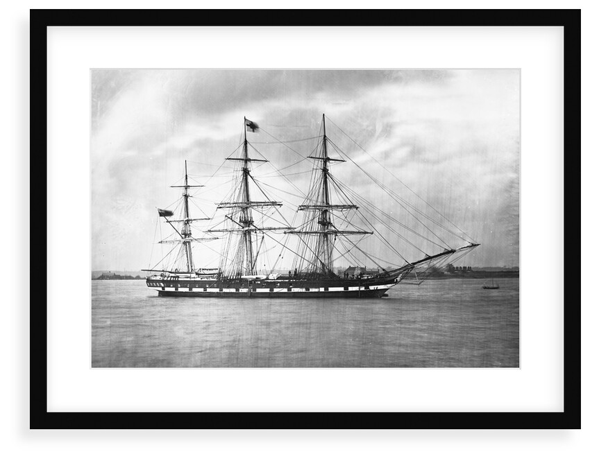 'Suffolk' (Br, 1857) by unknown
