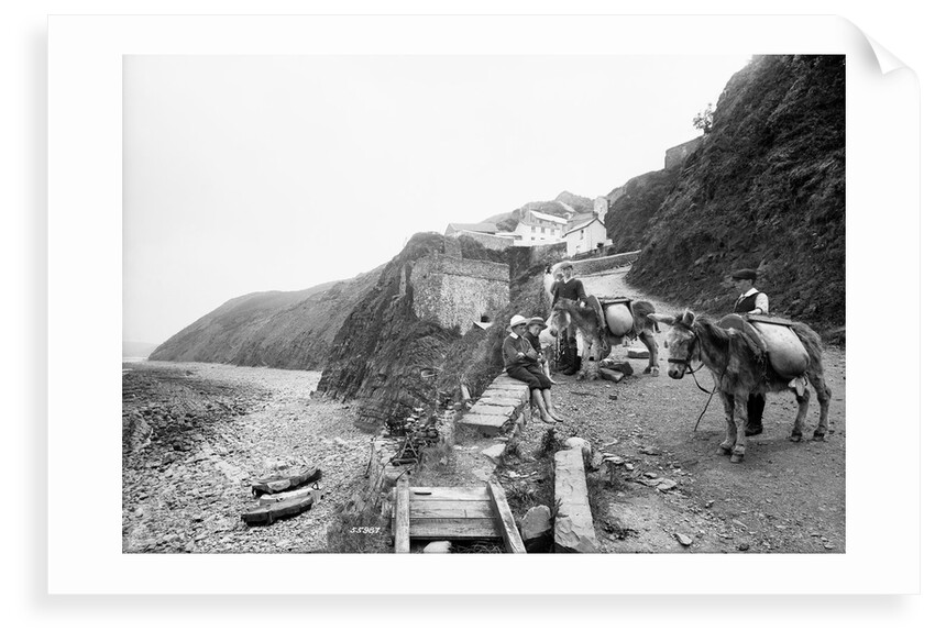 Pack donkeys, Bucks Mills, Devon by Francis Frith & Co.