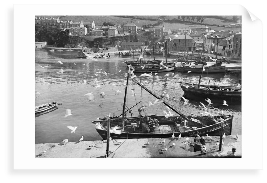 Harbour and flock of seagulls, Mevagissey, Cornwall by Francis Frith & Co.