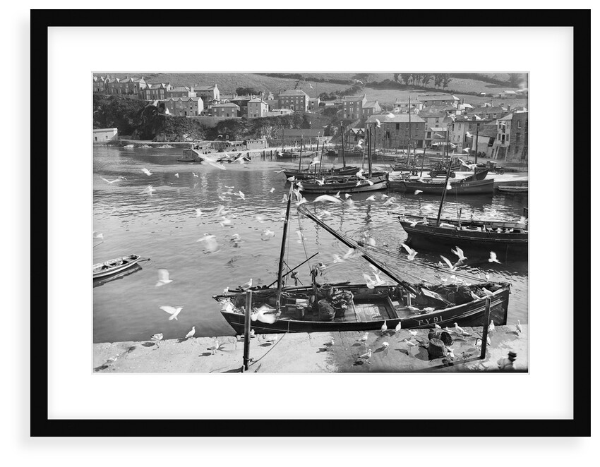 Harbour and flock of seagulls, Mevagissey, Cornwall by Francis Frith & Co.