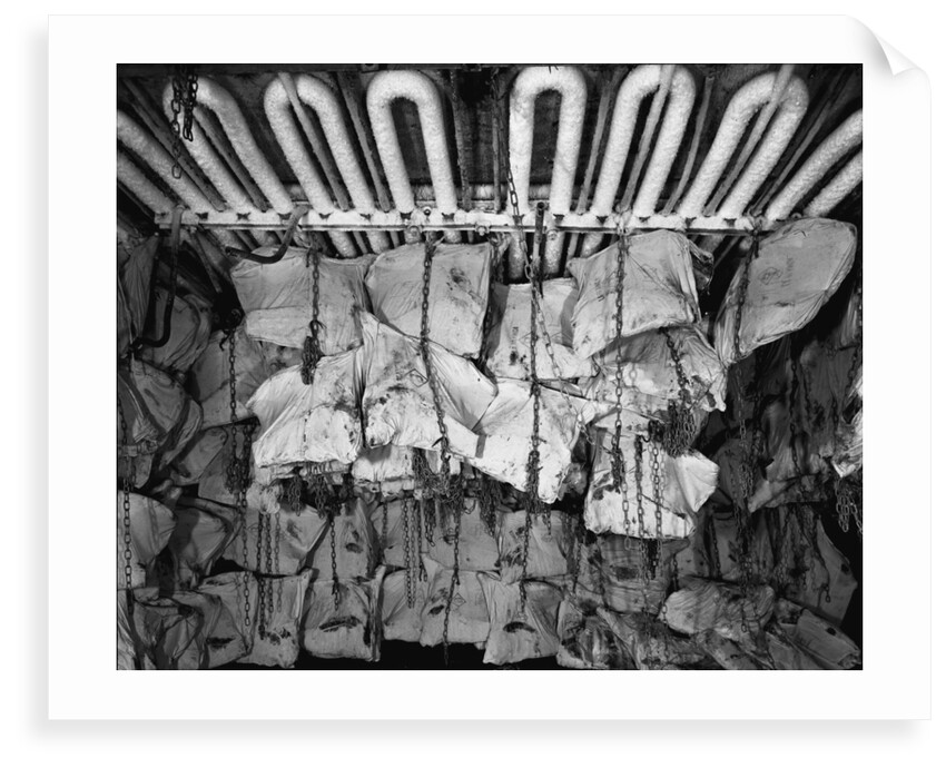 Frozen meat in the hold of the 'Highland Rover' (1910) by Bedford Lemere & Co.