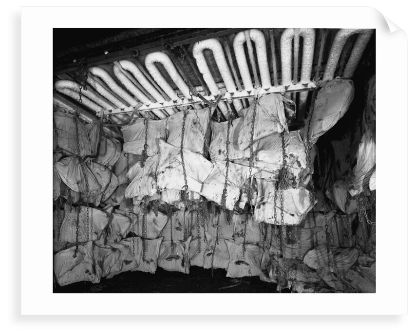 Frozen meat in the hold of the 'Highland Rover' (1910) by Bedford Lemere & Co.