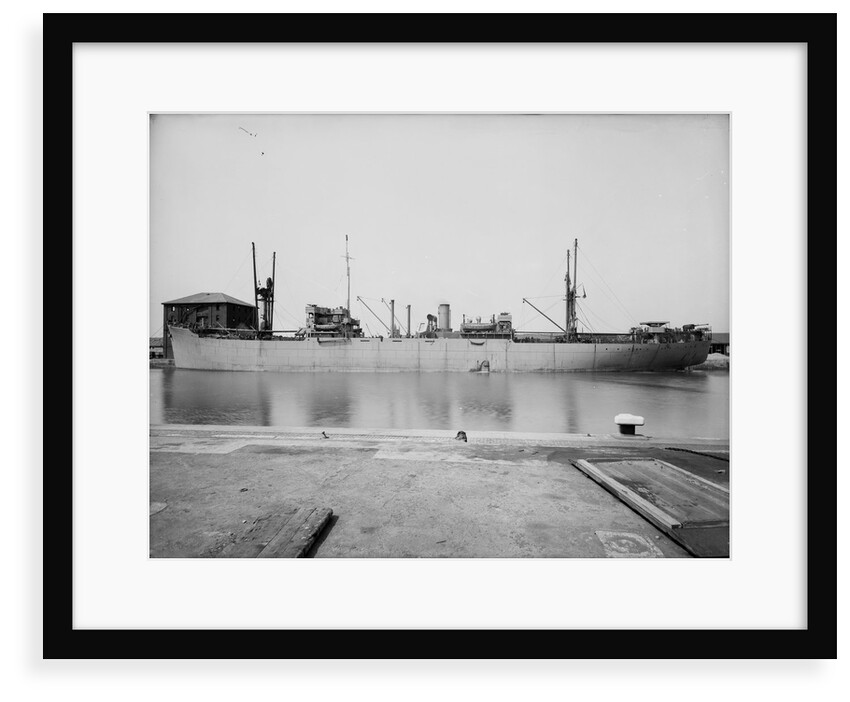The 'Empire Archer' (Br, 1942) lying in the Alexandra Dock, Hull by unknown